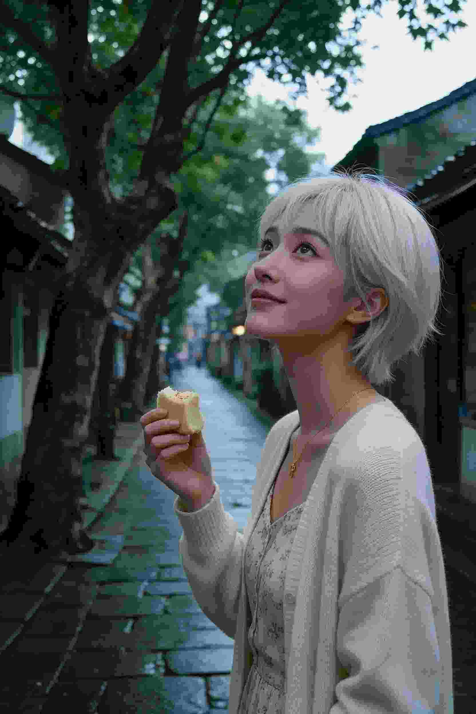 沙漠之光
